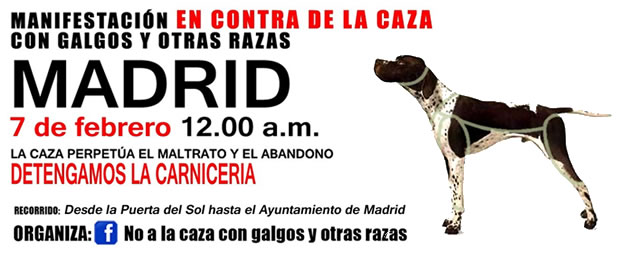 banner_slider_galgos