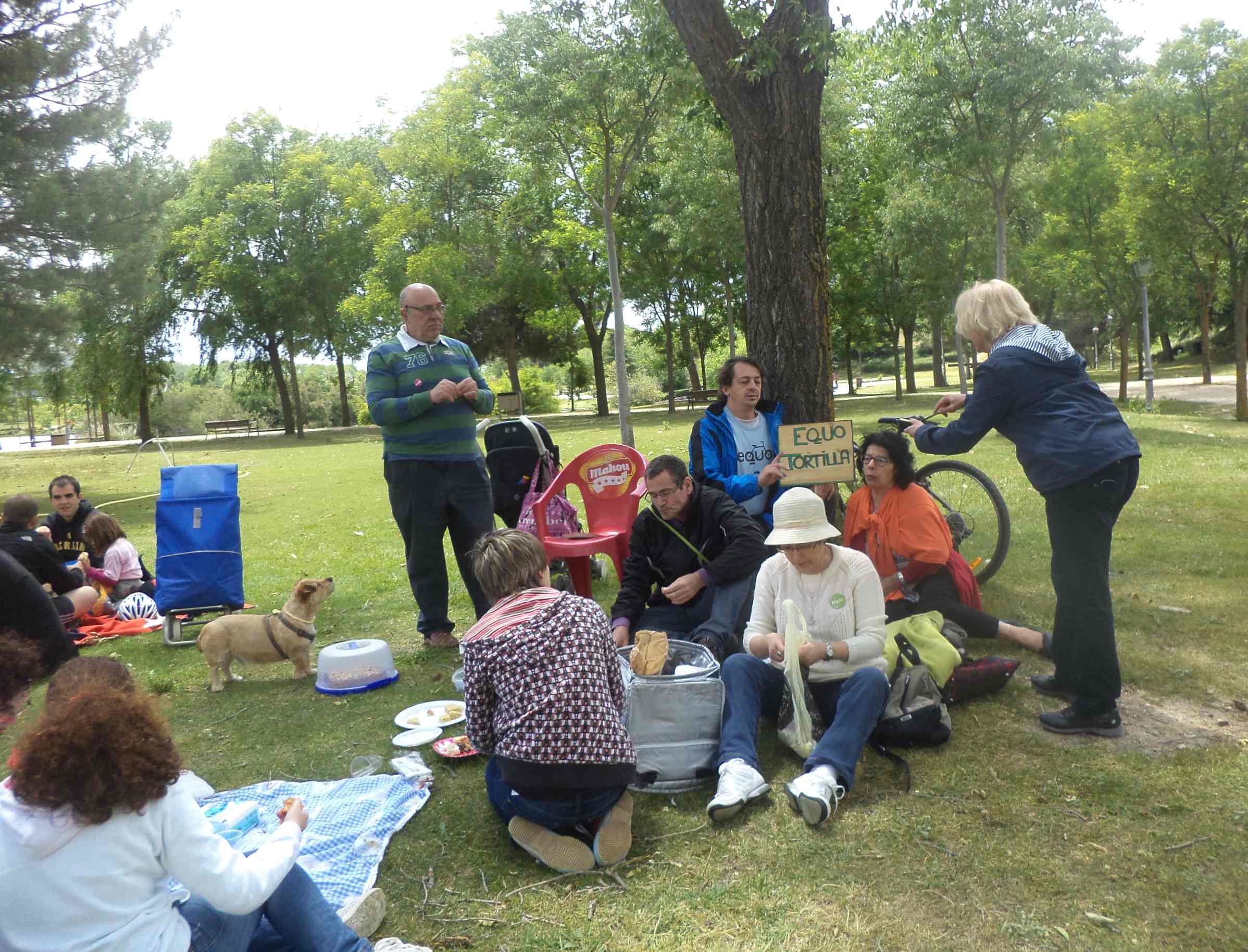 https://madrid.verdesequo.es/wp-content/uploads/2021/06/EquoTortilla.jpg